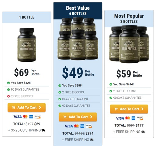 Berlin Protocol Pricing